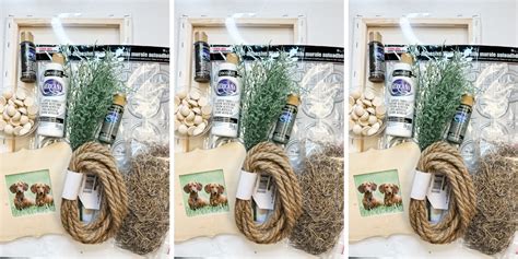 Creative Haven Collections (Budget-Friendly Option)