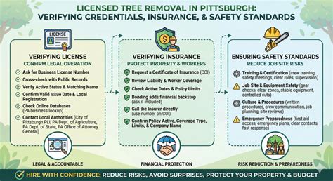 Credentials, Insurance, and Safety Protocols