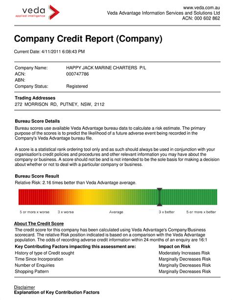 Credit Analysis Report Template