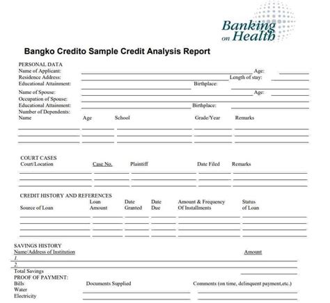 Credit Analysis Report Template (2) - TEMPLATES EXAMPLE | TEMPLATES