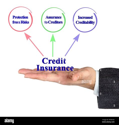 Types Of Credit Insurance Policies Theatre Group
