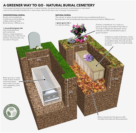 Cremation Options