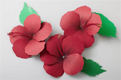 51+ Cricut Hibiscus Flower, Incredible Flower SVG Free Cricut Ideas – Ilulissaticefjord.com. Hibiscus Flower SVG Files For Cricut Silhouette Dxf Eps Pdf