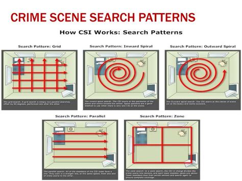 Crime Scene Search Patterns