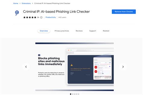 Criminal IP Chrome Security Extension Features Overview