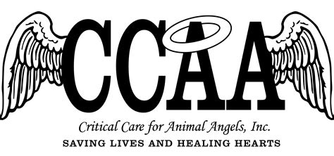 Providing Exceptional Critical Care for Your Beloved Animal Angels - Trust Our Team for Optimal Health and Wellbeing