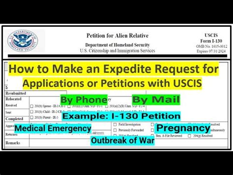 Critical Items for Your Expedited Mail-In Application