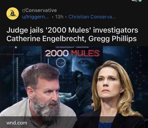 Criticisms and Concerns 2000 Mules