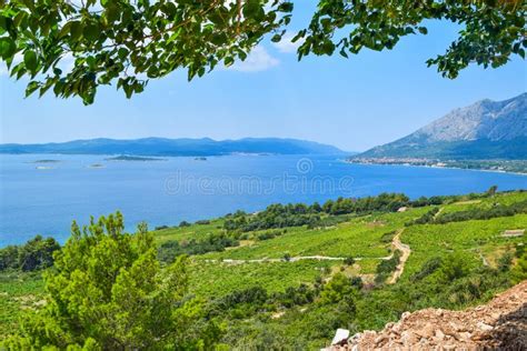 Croatian Islands landscape