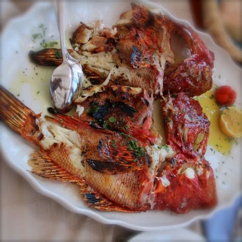 Croatian grilled fish