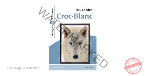 Croc blanc resume proofreadingwebsite.web.fc2.com