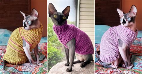Crochet Cat Outfits