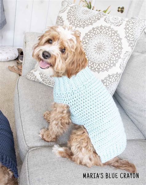Crochet Dog Coat Pattern Free
