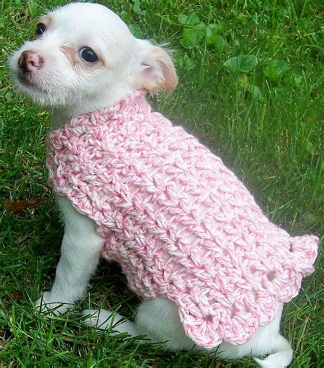 Crochet Dog Coats