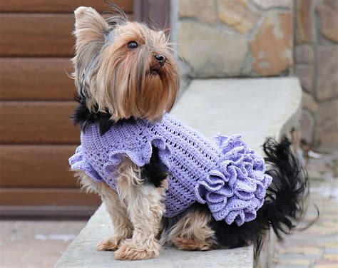 Crochet Dog Dress Pattern