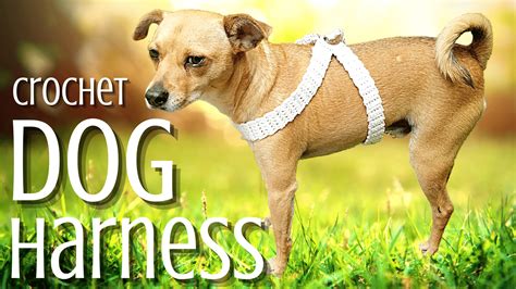 Crochet Dog Harness