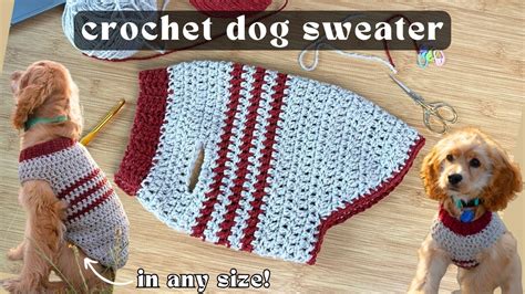 Crochet Dog Sweater For Beginners