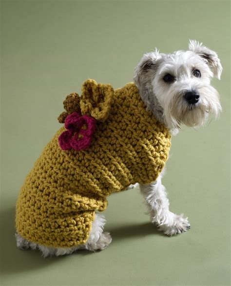 Crochet Dog Sweater Pattern Easy Free