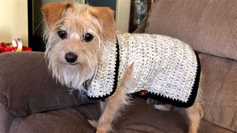Crochet Dog Vest
