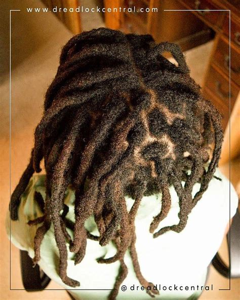 Crochet Dreads Men