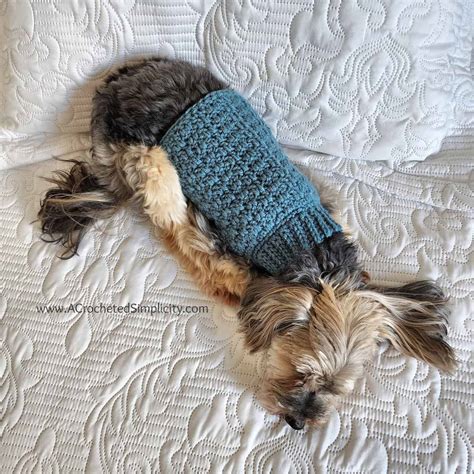 Crochet For Pets
