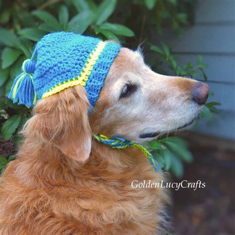 Crochet Hat For Dogs