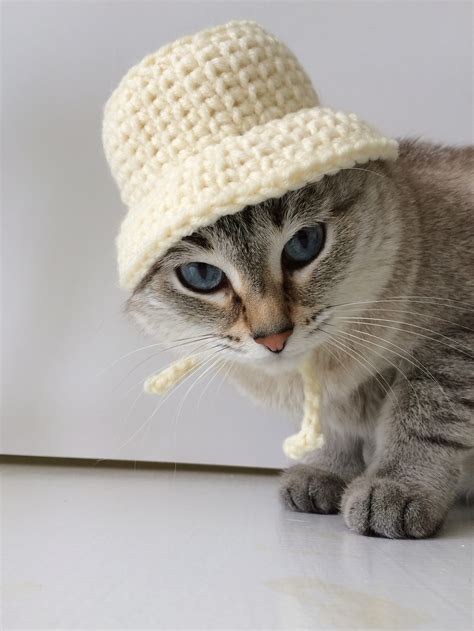 Crochet Hats For Cats