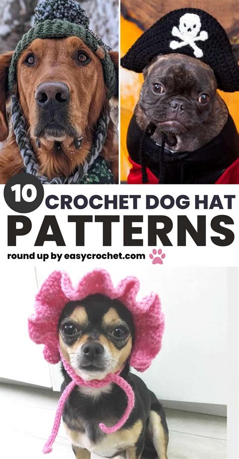 Crochet Hats For Dogs