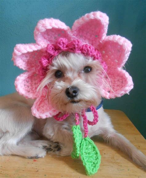 Crochet Pet Hat