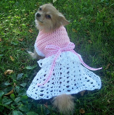 Crochet Puppy Clothes