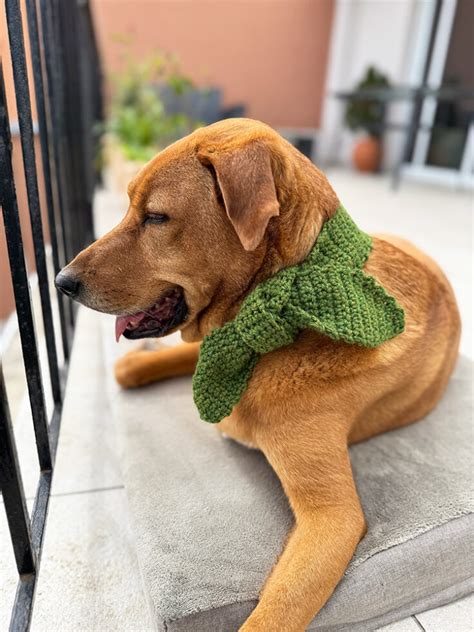 Crochet Scarf For Dogs
