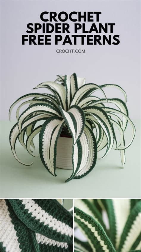 Crochet Spider Plant