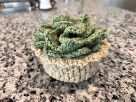 Crochet Succulent Coasters