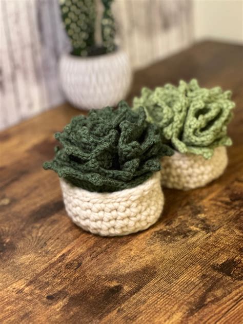 Crochet Succulent Coasters Pattern Free