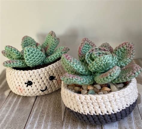Crochet Succulent Pattern