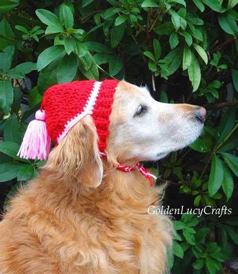 Crocheted Dog Hats