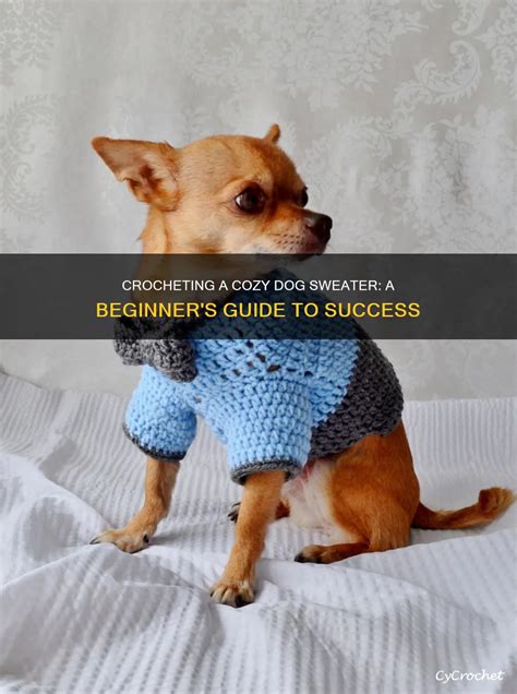 Crocheting Dog Sweaters Beginners