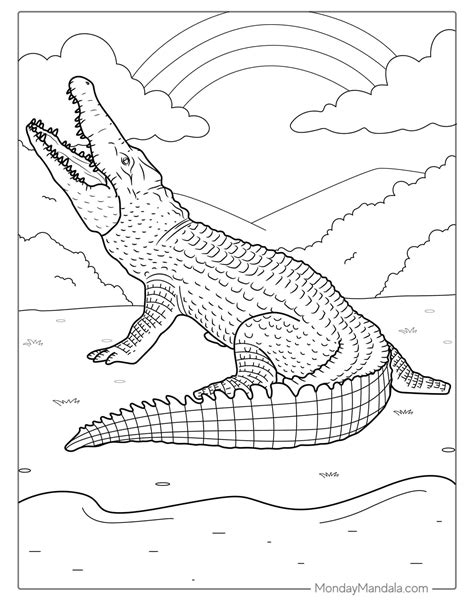Crocodile Color Pages