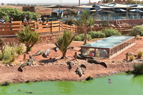 Crocoparc Restaurant