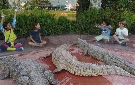 Crocoparc tickets