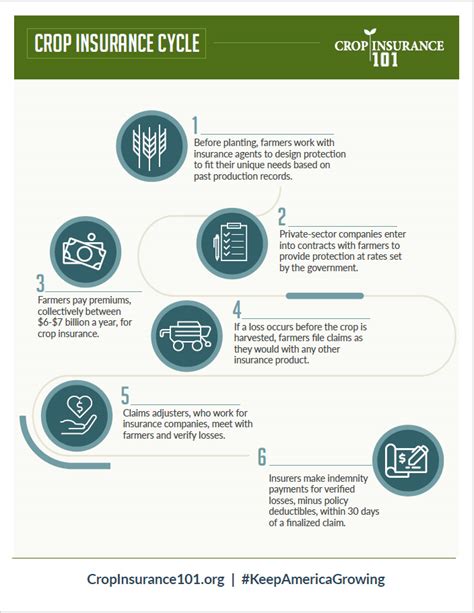 Crop Insurance Amount