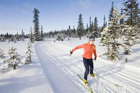 How to crosscountry ski without a track Active For Life