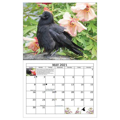 Crow Wing Court Calendar