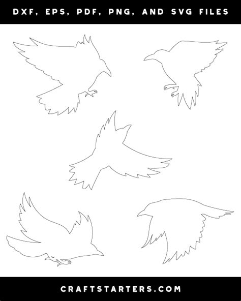 Crow Flying Patterns