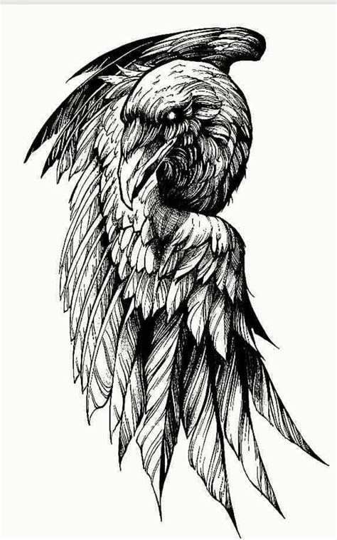 Crow Tattoo Sketch