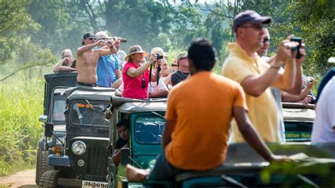 Crowded Safari Jeep