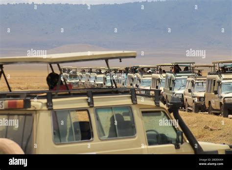 Crowded Safari Vehicle