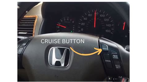 Cruise Main