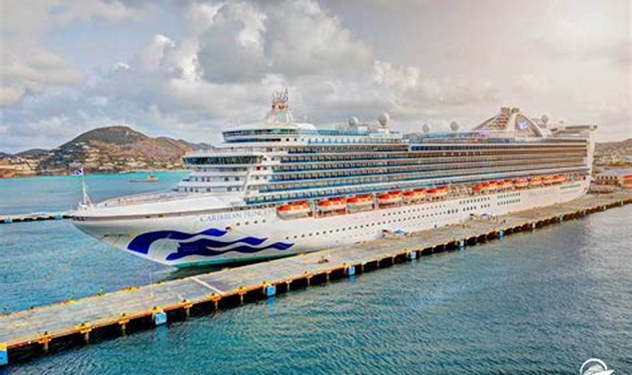 Cruises From Florida In November 2024