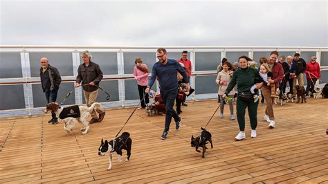 Cruises That Allow Dogs